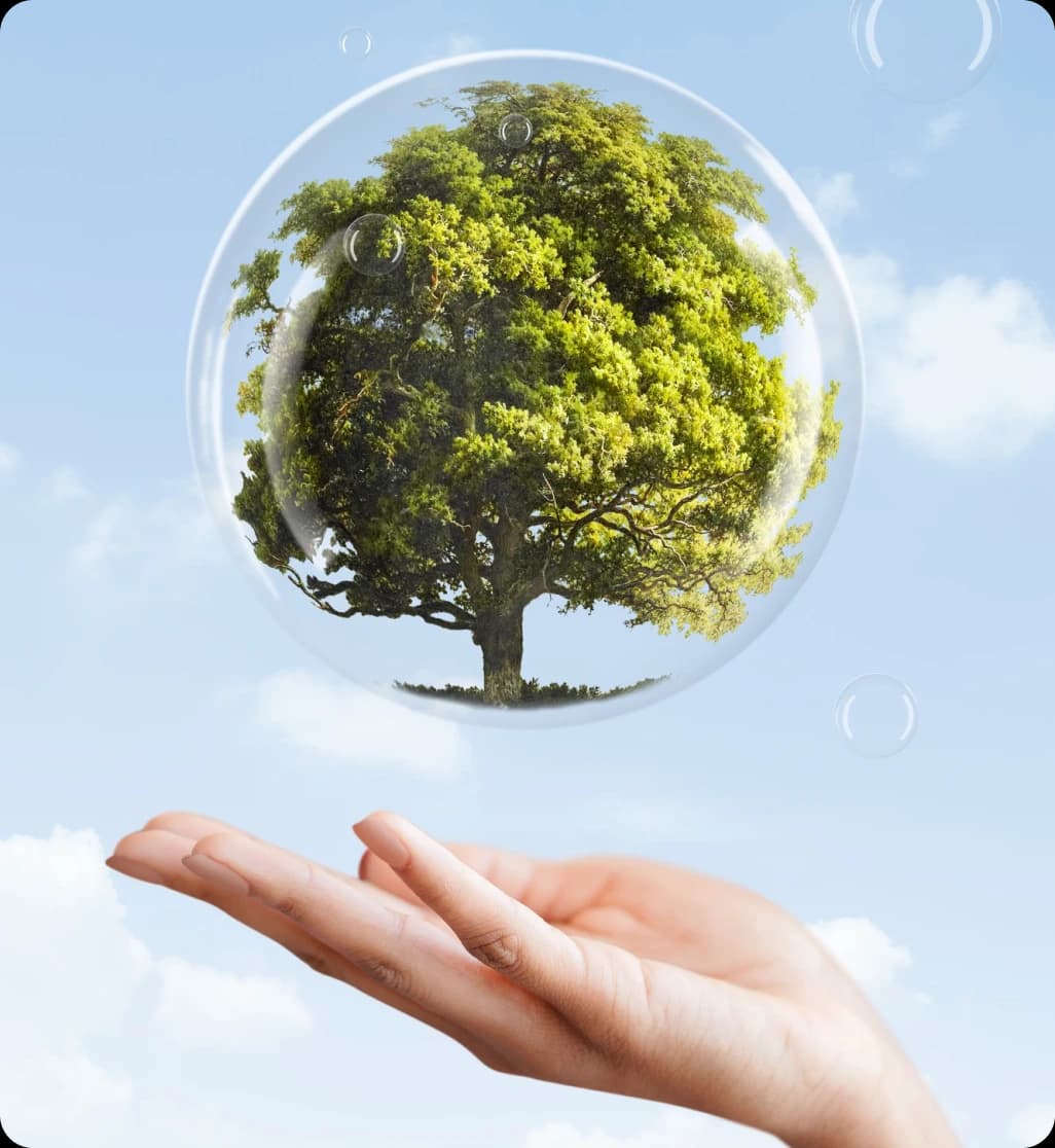 energitic - Pourquoi Dadycar ? - Avantages et Fonctionnalités